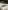 project.title